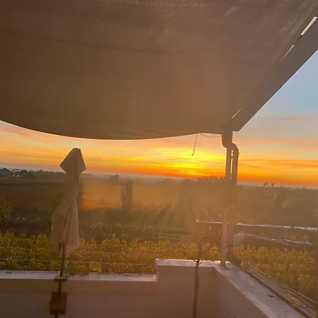 Rebenmeer Apartmán Neustadt an der Weinstraße