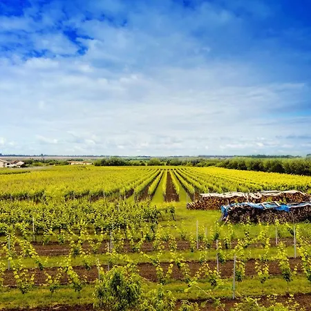 Apartamento Rebenmeer