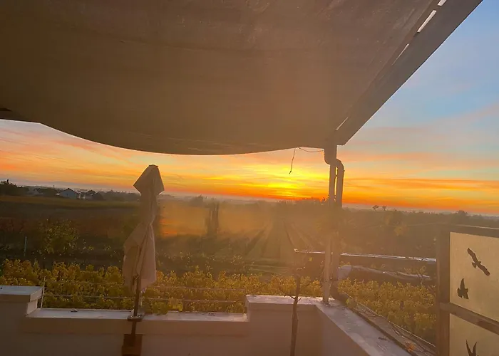 Rebenmeer דירה Neustadt an der Weinstraße