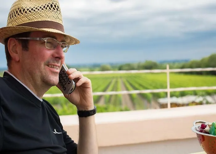 公寓 Rebenmeer Neustadt an der Weinstraße